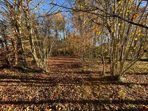 A vendre, terrain à bâtir sur les hauteurs de MARSAC-SUR-L'ISLE 24430