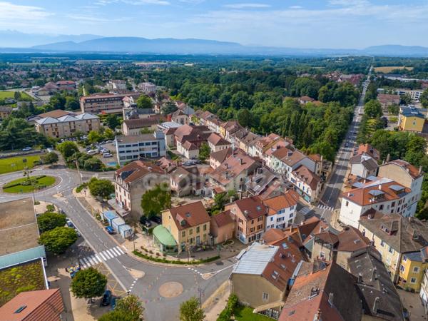 Maison à vendre 10 pièces GEX (01)