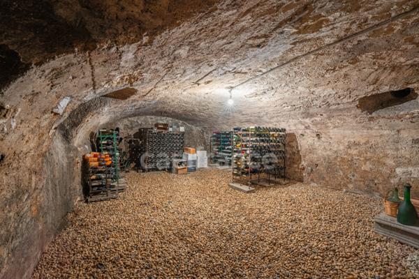 Maison à vendre 10 pièces GEX (01)