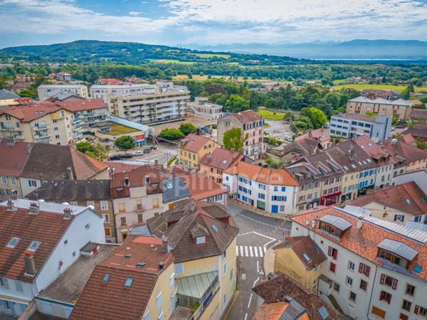 Maison à vendre 10 pièces GEX (01)