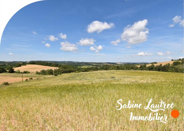 Lautrec (81440) Terres agricoles sur le terroir de l'aïl rose de Lautrec