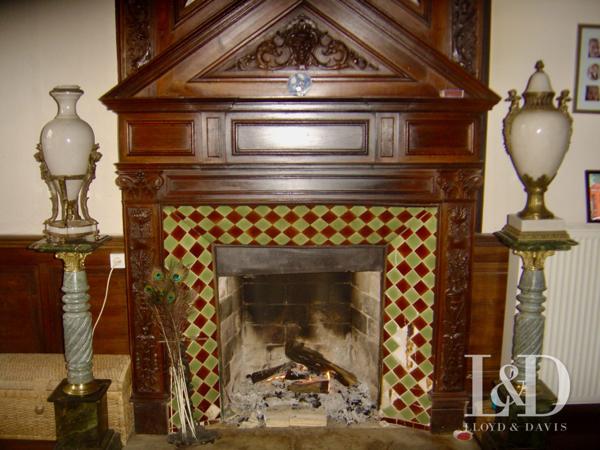 Château authentique en Ardèche : Charme, Nature et Potentiel