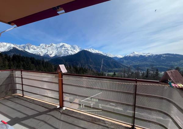 Appartement T2 de 40 m² avec balcon face au Mont-Blanc à Passy Détails des diagnostics énergétiques