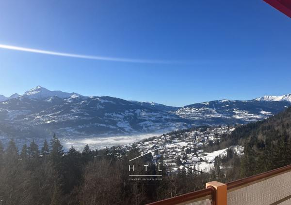 Appartement T2 de 40 m² avec balcon face au Mont-Blanc à Passy Détails des diagnostics énergétiques