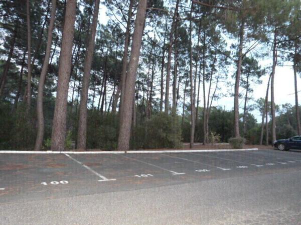 Maison T3 avec jardin privatif dans résidence avec piscine.