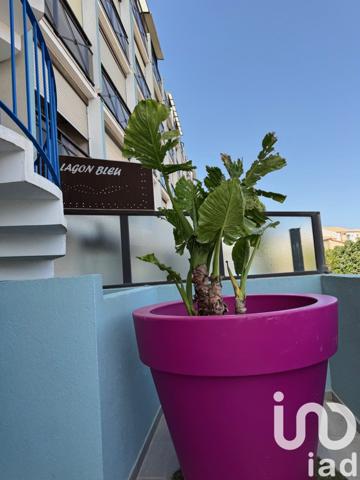 Appartement 1 pièce de 23 m² à Le Grau-du-Roi (30240)