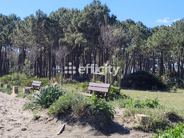 Appartement 4 pièces - 106 m²