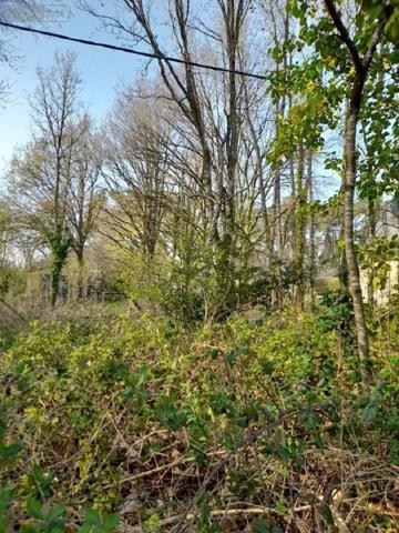 Terrain à Batir à vendre à La Gacilly dans le Morbihan (56200), ref : 009/1206