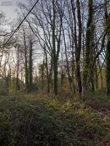 Terrain à Batir à vendre à La Gacilly dans le Morbihan (56200), ref : 009/1206