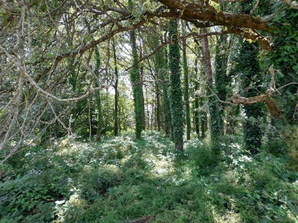 Terrain à Batir à vendre à La Gacilly dans le Morbihan (56200), ref : 009/1157