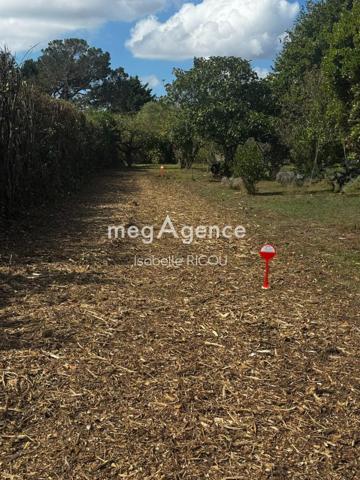 Terrain à DOLUS-D'OLERON, 17550 - 721m²