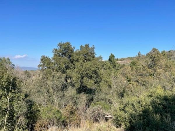 Var (83), à vendre GASSIN Terrain Agricole Zone AOC environ 17 000 m² (1 ha 7a) (31 euros/m2)