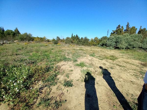 Location terrain près de SAINT ESTEVE - 2000 m² - 150 €/mois