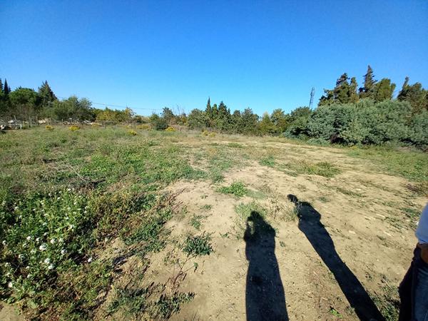 Location terrain près de SAINT ESTEVE - 2000 m² - 150 €/mois