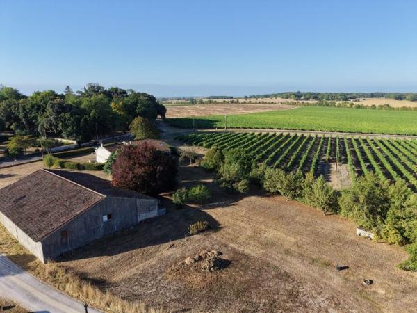 Propriété charentaise avec Maison de 125 m² et Grange de 346 m²