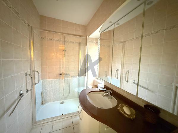 RARE NEUVILLE SUR SAONE. Appartement 137m2 hab env. terrasse, jardin, garage