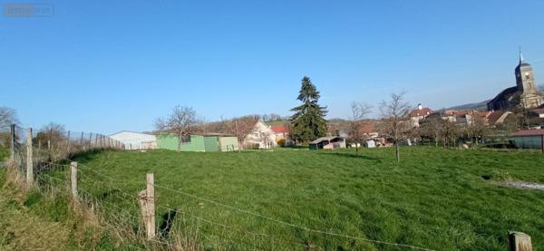 Maison à vendre à Neuilly-l'Évêque en Haute-Marne (52360), ref : 52020-62