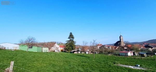 Maison à vendre à Neuilly-l'Évêque en Haute-Marne (52360), ref : 52020-62