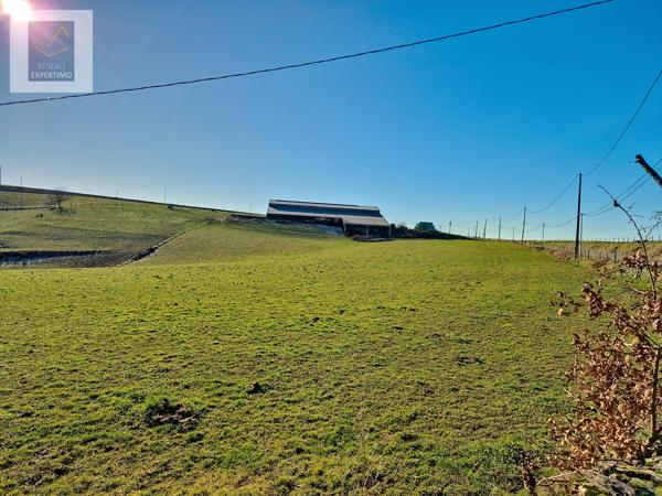Conques (12320) À vendre – Exploitation agricole complète avec bâtiment d’élevage récent – 29 hectares attenants – Maison