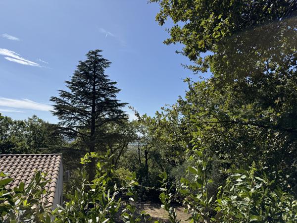 Maison avec beau jardin arboré