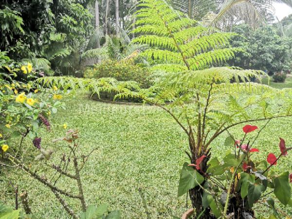 MAISON  180 M2  IDEAL INVESTISSEUR  15 % RENTABILITE