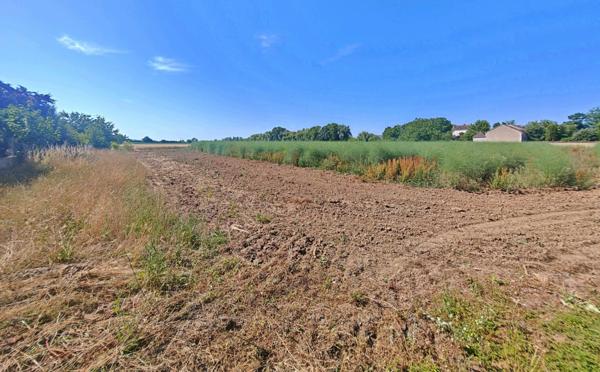 Terrain plat CONSTRUCTIBLE de 1193 m² sur la commune de Chemilly