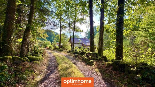 Fermette vosgienne rénovée – 138 m² environ – Terrain 3 036 m² – Nature, charme et tranquillité