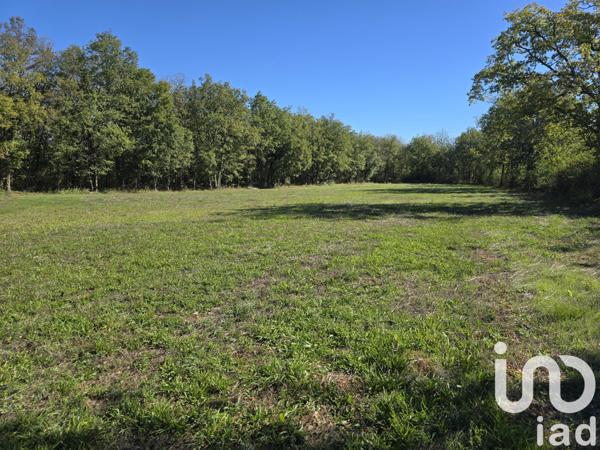 Terrain à vendre 3 725 m² Lalbenque