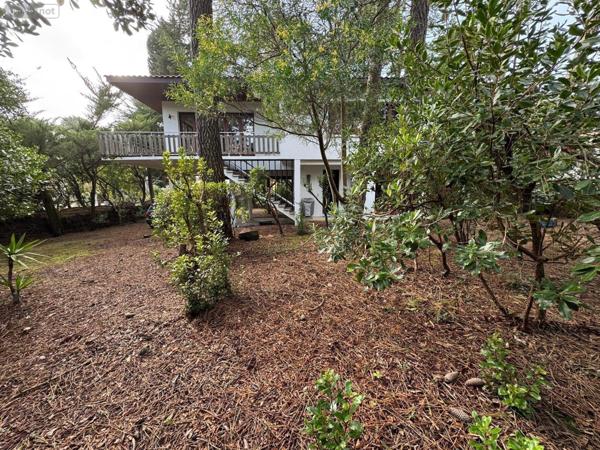 Maison à vendre à Lège-Cap-Ferret en Gironde (33950), ref : 33010/148