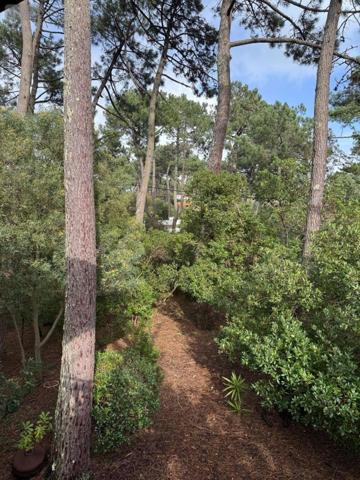 Maison à vendre à Lège-Cap-Ferret en Gironde (33950), ref : 33010/148