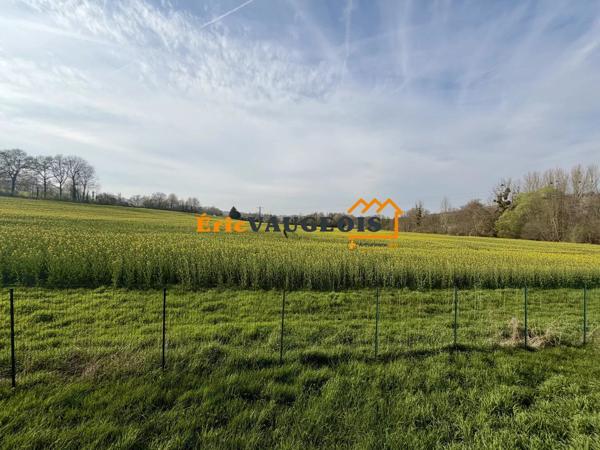 Vente                                                      Maison
                        
                     4 pièces                      110 m2                     à La Ferté-sous-Jouarre