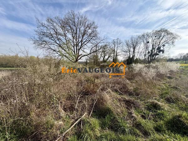 Vente                                                      Maison
                        
                     4 pièces                      110 m2                     à La Ferté-sous-Jouarre