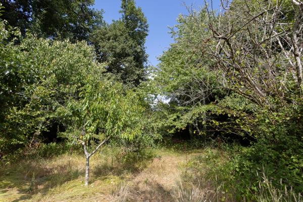 A vendre Maison Plain-pied 150m2 6 pièces - 4 chambres - hangar 300 m2 - 5660 m2 de terrain - SAINT SAUVEUR (24)