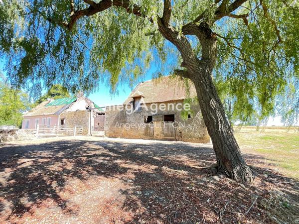 Maison à RENE, 72260 - 4 pièces 110m²
