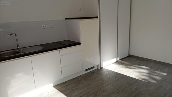 Appartement à louer à Lille dans le Nord (59000), ref : LA3421-59019