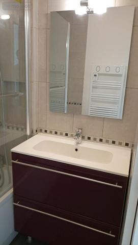 Appartement à louer à Lille dans le Nord (59000), ref : LA3421-59019