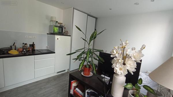 Appartement à louer à Lille dans le Nord (59000), ref : LA3421-59019