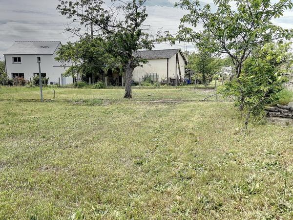 Petite maison à renover + grand terrain