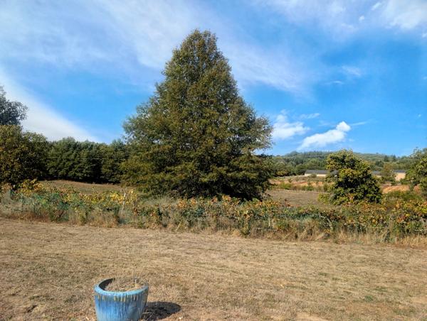 Maison à vendre à La Chapelle-Montbrandeix (87440) - Haute-Vienne