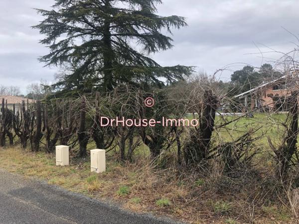 Terrain à vendre de 430 m²