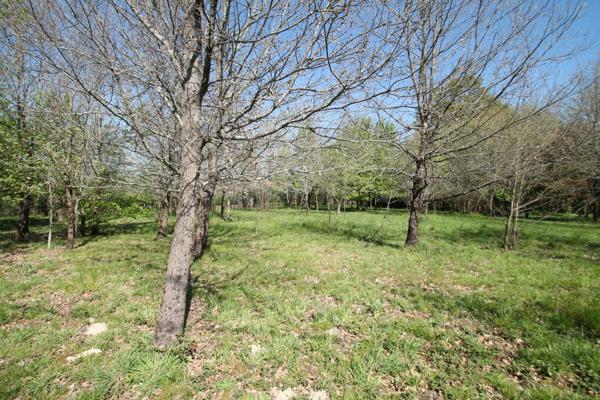 Terrain constructible plat et boisé 1029m² à vendre proche de CASTELJALOUX (47)