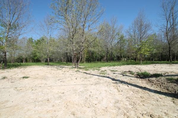 Terrain constructible plat et boisé 1029m² à vendre proche de CASTELJALOUX (47)