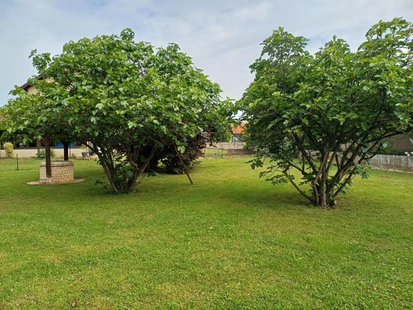 terrain 719 m²