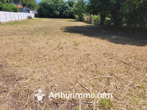 Vente Terrain 555 m2 à Saint-Jean-d'Angély