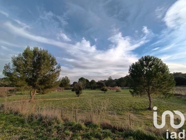 Terrain à vendre 2 979 m² Uchaud