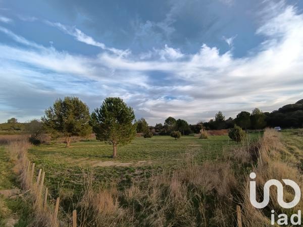 Terrain à vendre 2 979 m² Uchaud