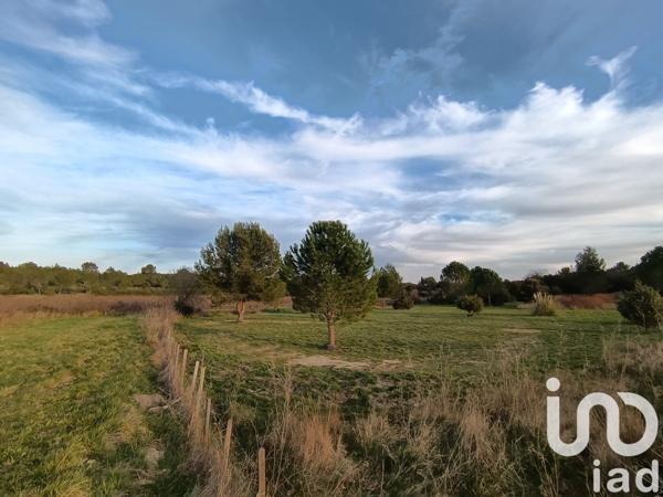 Terrain à vendre 2 979 m² Uchaud