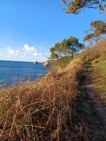 Plougasnou (29630) Plougasnou Le Diben, maison 1974 rénovée, sur 1000 m2 de terrain, jolie vue sur la Baie de Morlaix.