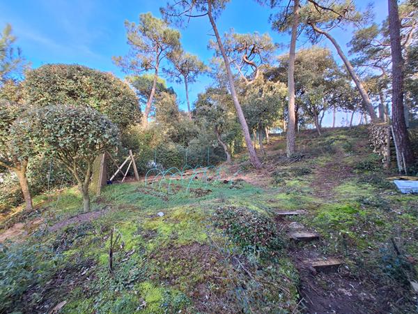 Maison 3 chambres la Tranche sur Mer
