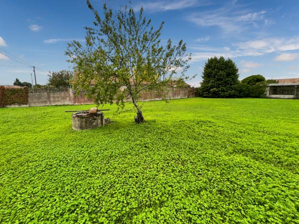 Terrain - 1000 m² Exclusivité efficity